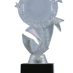 Acrylic Oscar