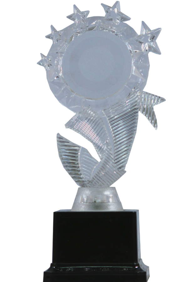 Acrylic Oscar