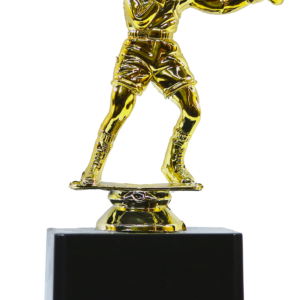 Boxer Player