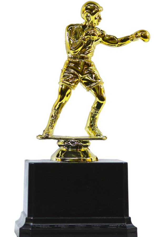 Boxer Player