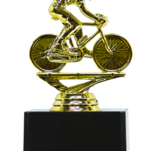 Bicycle Player
