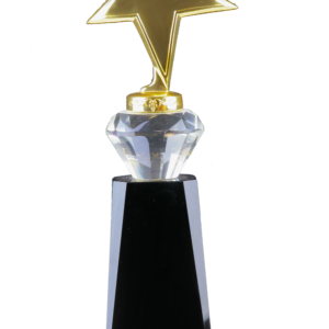 Crystal Metal Star