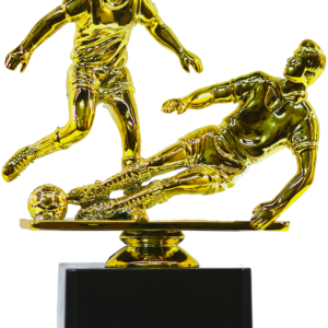 Defender Football Player