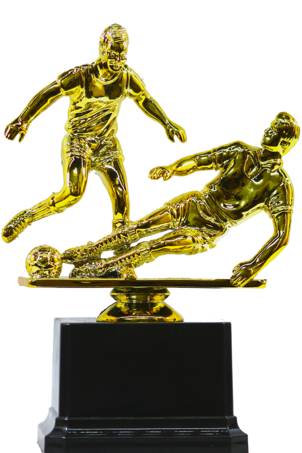 Defender Football Player