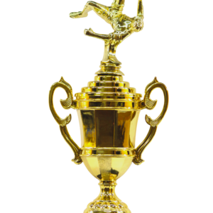 Double Kick Cup