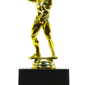Fitness Player