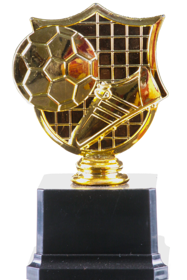 Football Shield #1