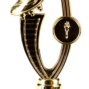 Football Shield