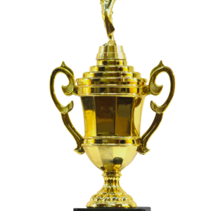 Karate Cup