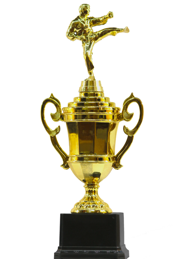 Karate Cup