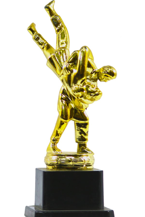 Judo Player